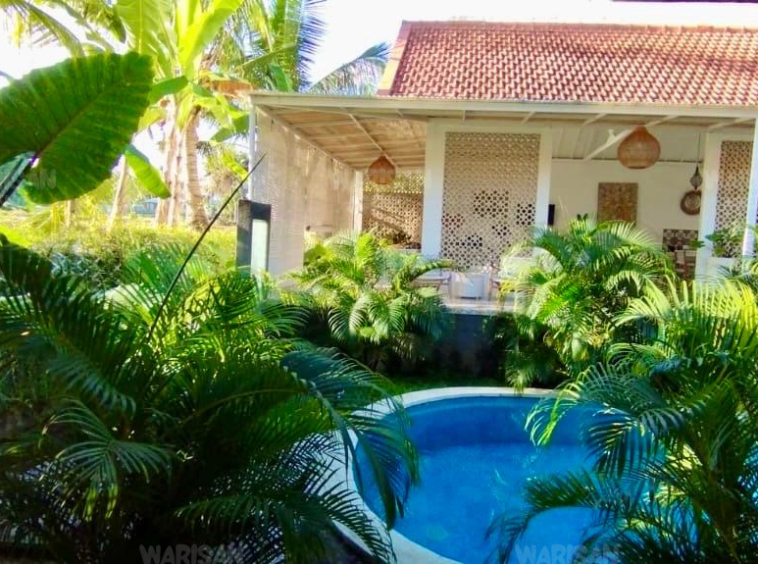 private pool villa for sale UBUD