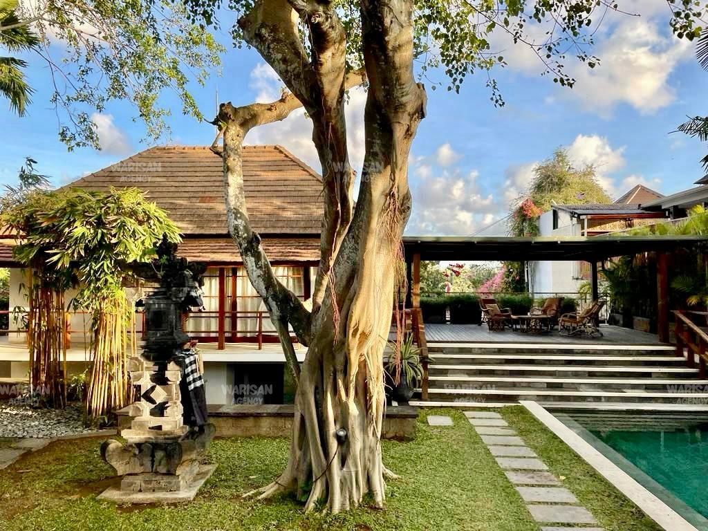 perfect sanctuary