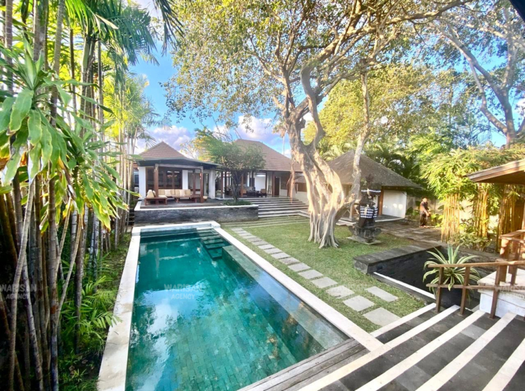 big swimming pool