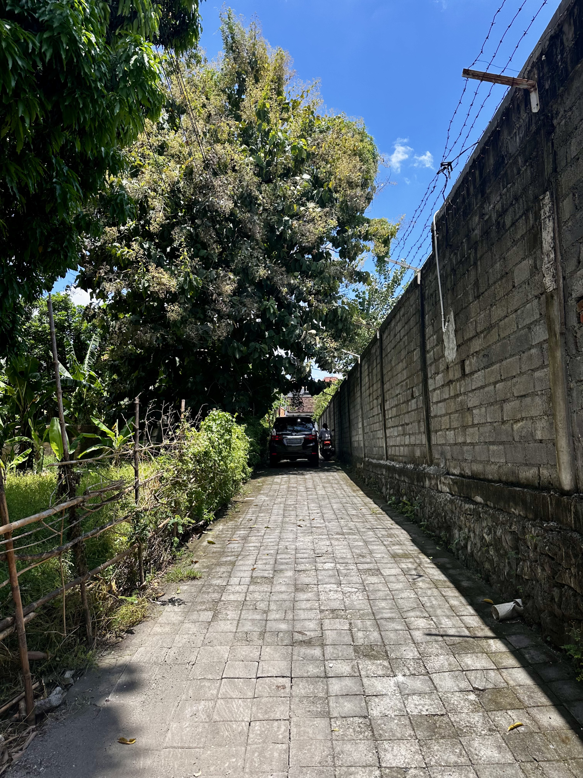 car access