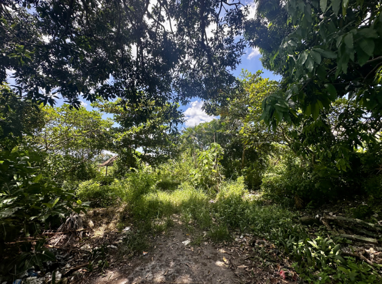 the land