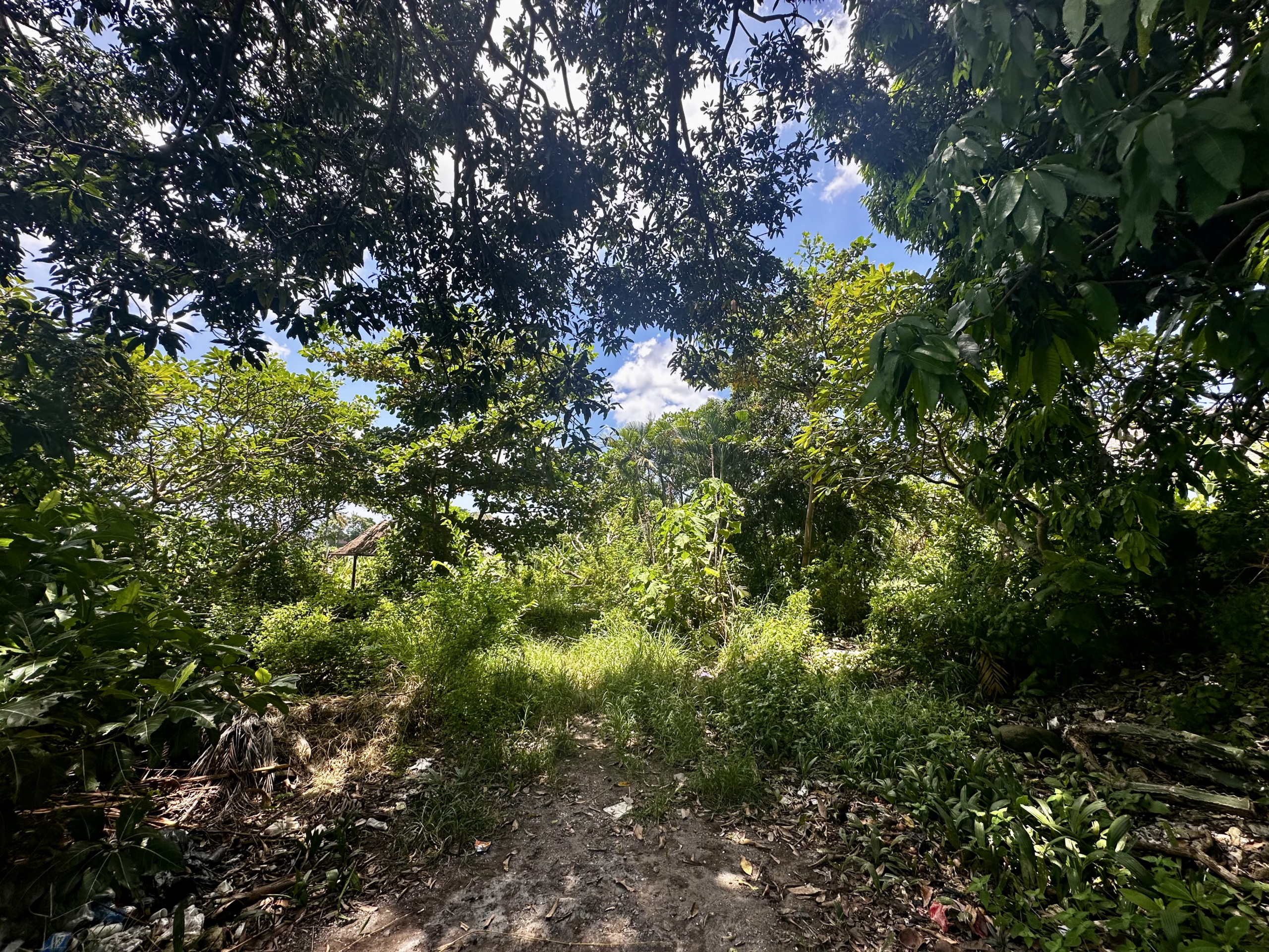 the land