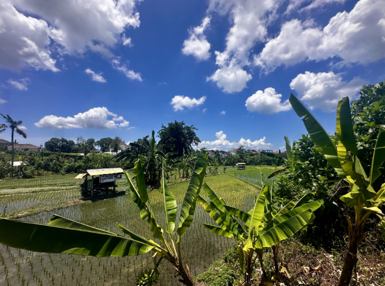 last plot available in umalas bali