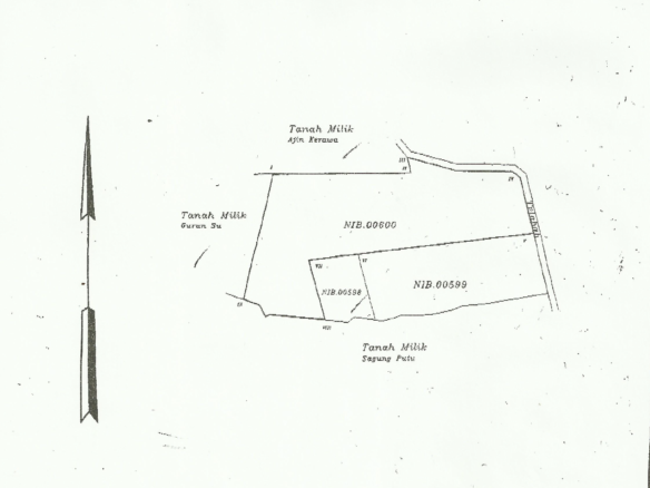 Splendid 3 plot for sale