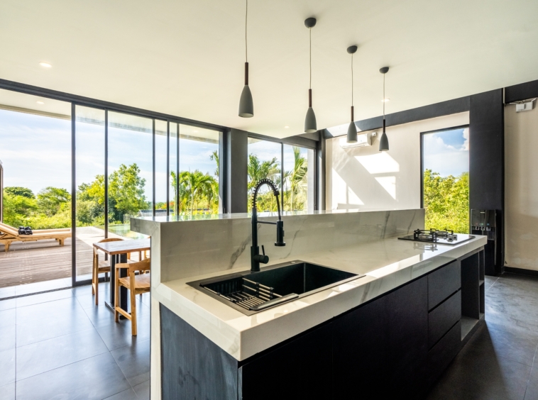 Kitchen open to the living room