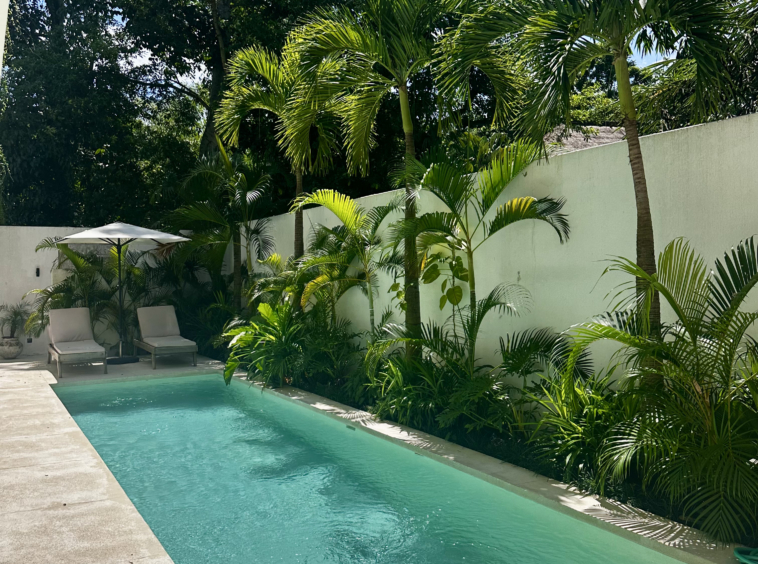 lush garden