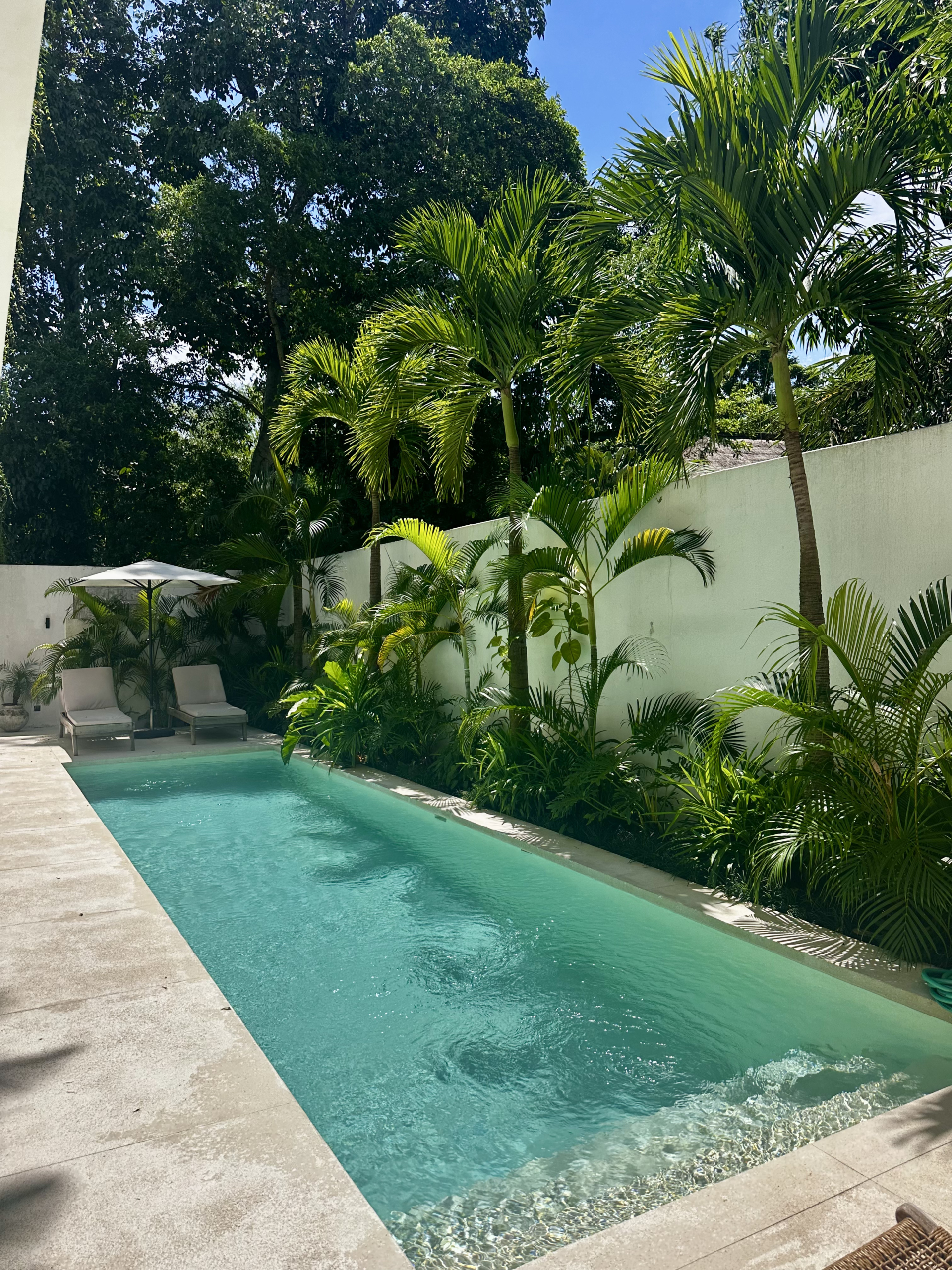 lush garden