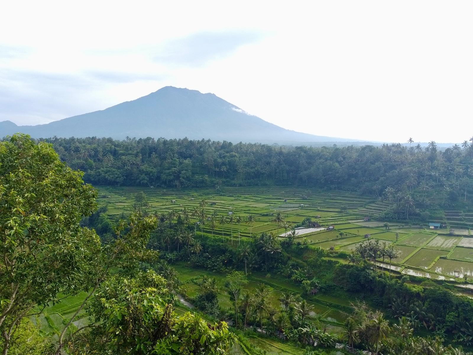 view from the land