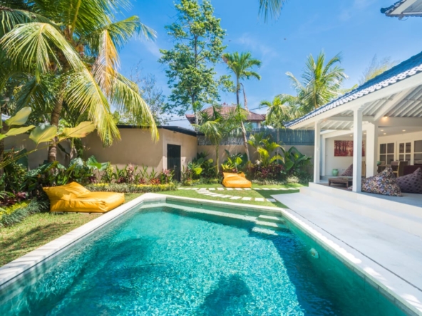 big swimming pool in a lush garden