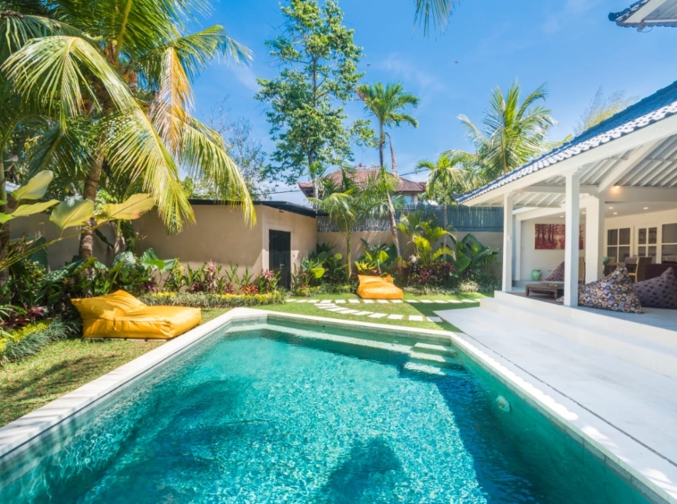 big swimming pool in a lush garden