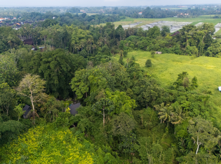 land habitation