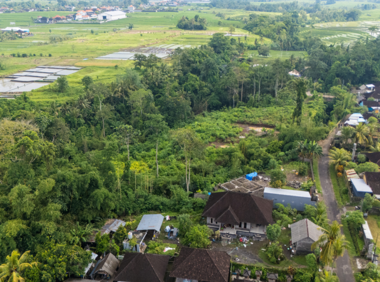 Land