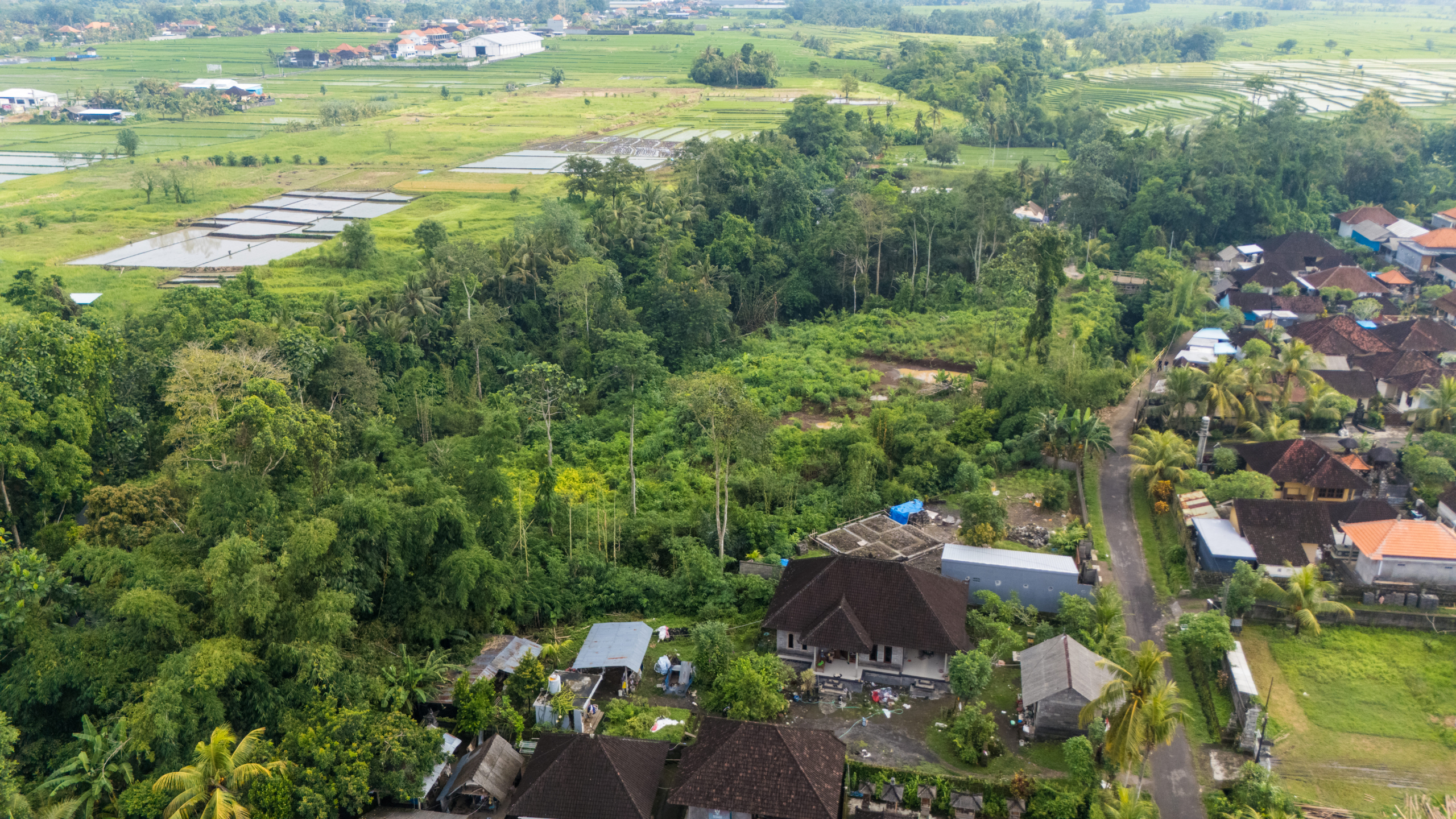 Land