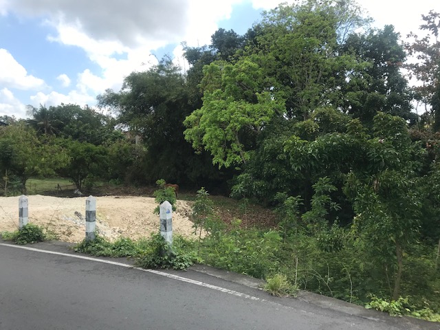 ready to build land in umalas