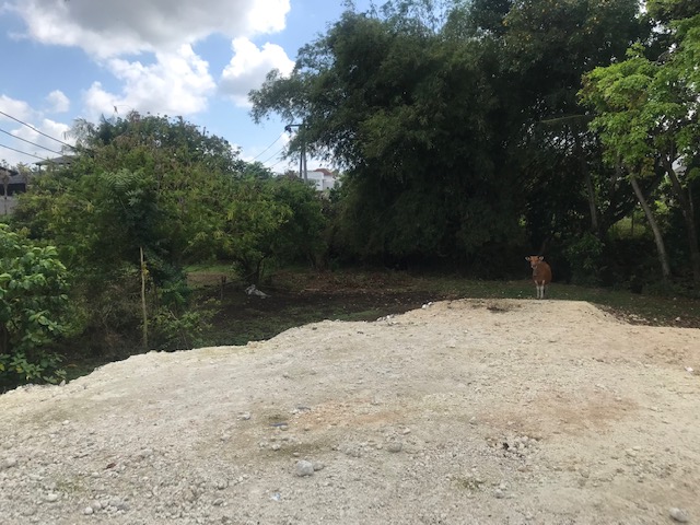 flat land for sale