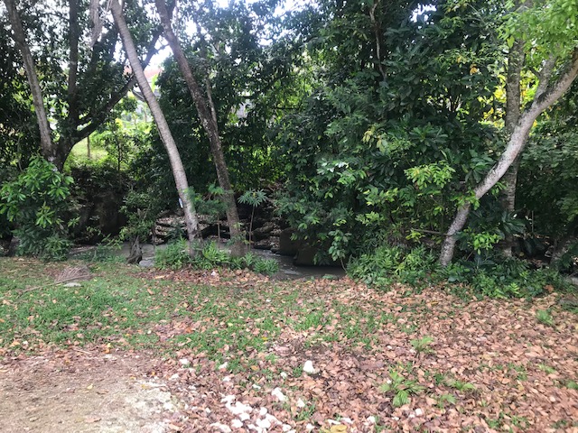amazing land for sale dream bali