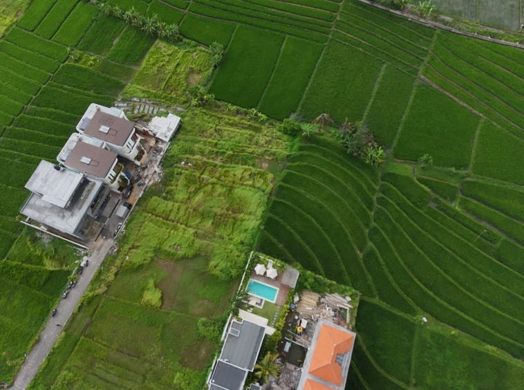 Top-down view in its entirety