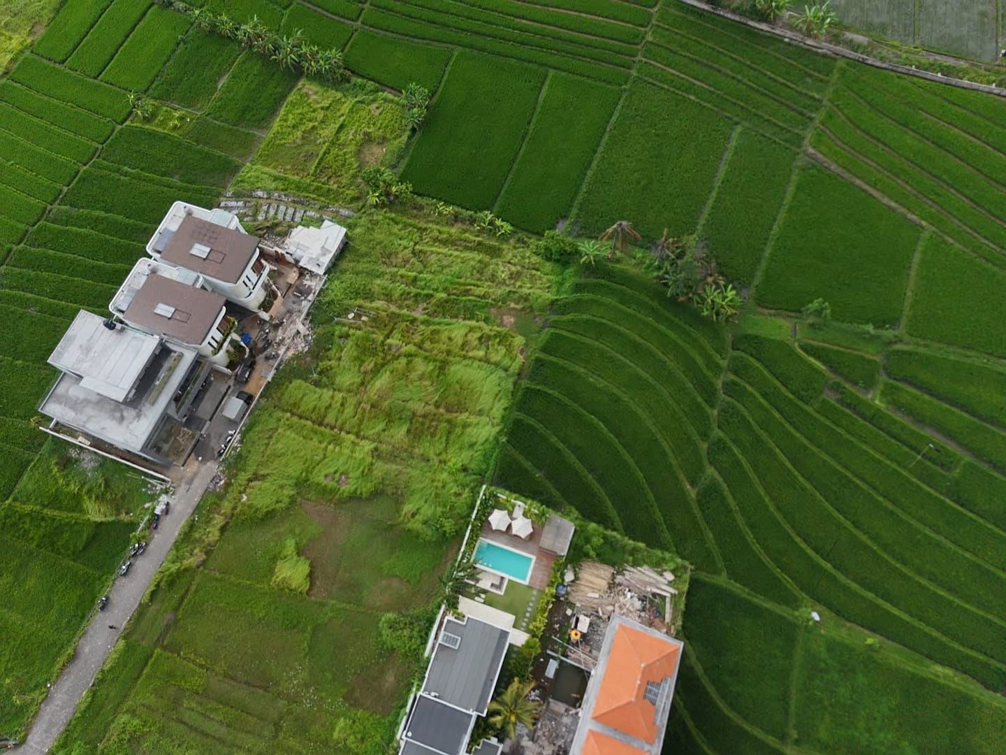 Top-down view in its entirety
