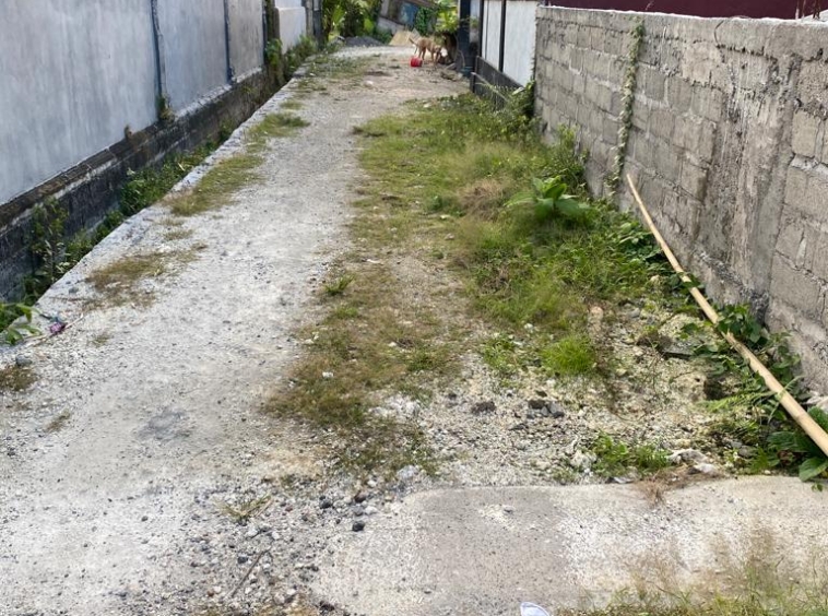 The well-maintained path leading to the property