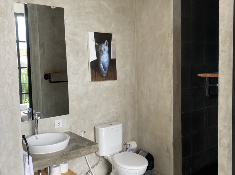 Modern bathroom with polished concrete