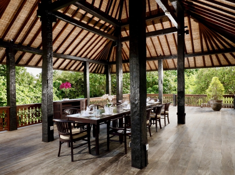 Space in the riverside of canggu. Nature in this area is very rare
