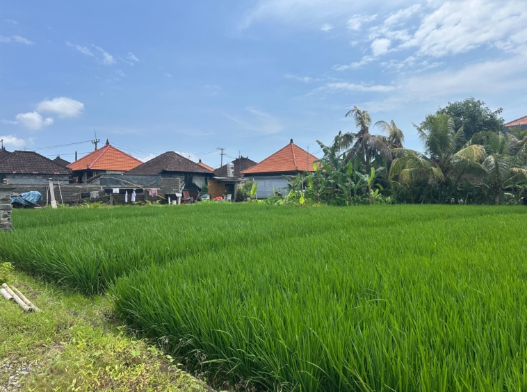 land picture
