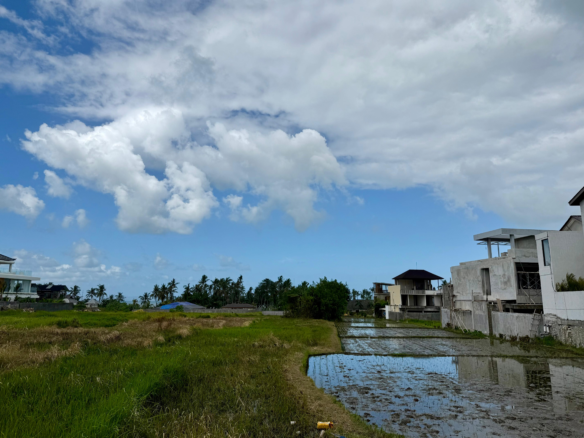 Land for sale in Seseh Bali with distant ocean view and tropical surroundings – 15 are leasehold plot